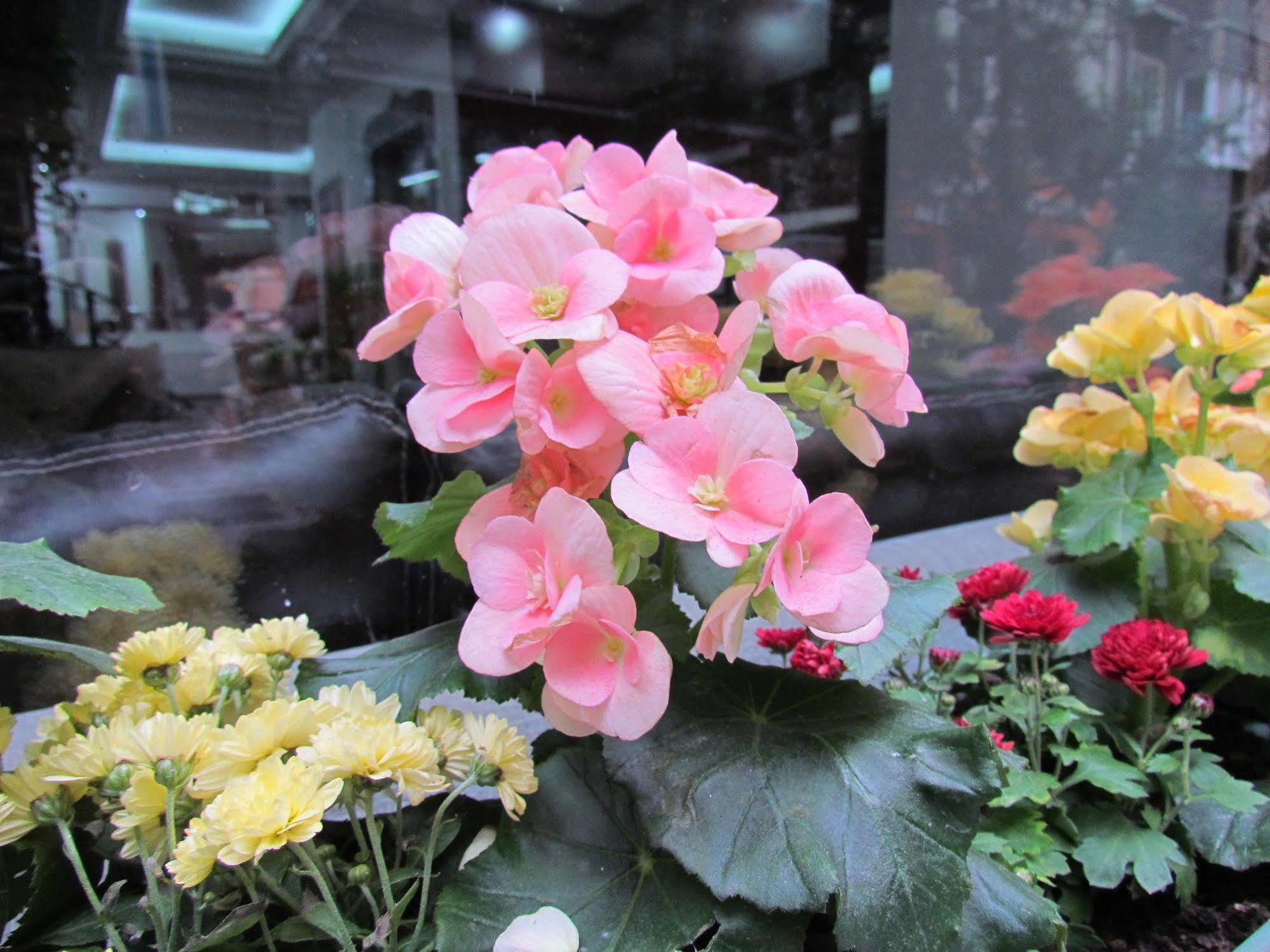 Promise Hotel Istanbul Exterior photo